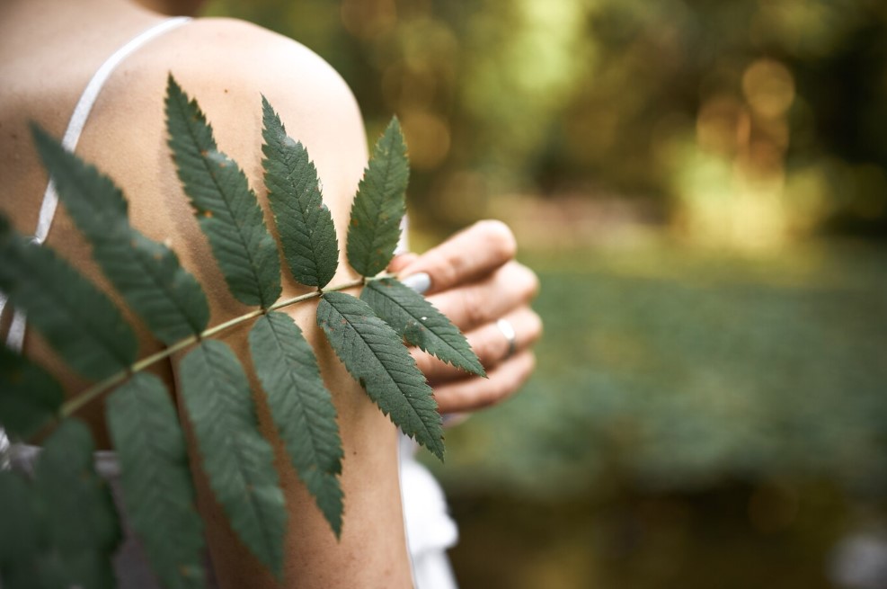 How Our CBD Balms Help Support Muscle and Joint Comfort