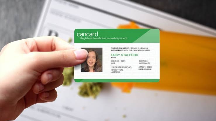 What Happens After You Apply For A Medical Marijuana Card In Virginia? Here’s The Full Process